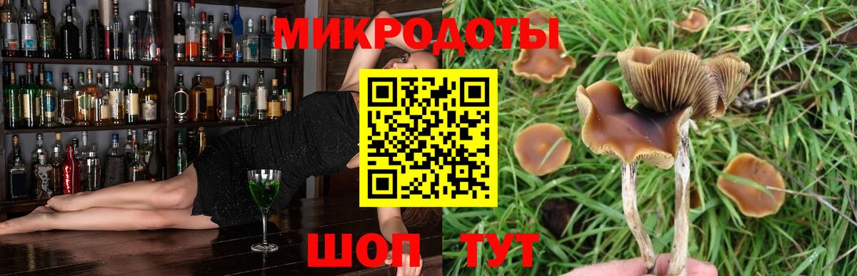 Галлюциногенные грибы Cubensis Вязьма