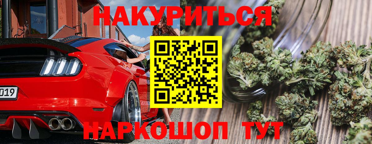 Конопля сатива Вязьма